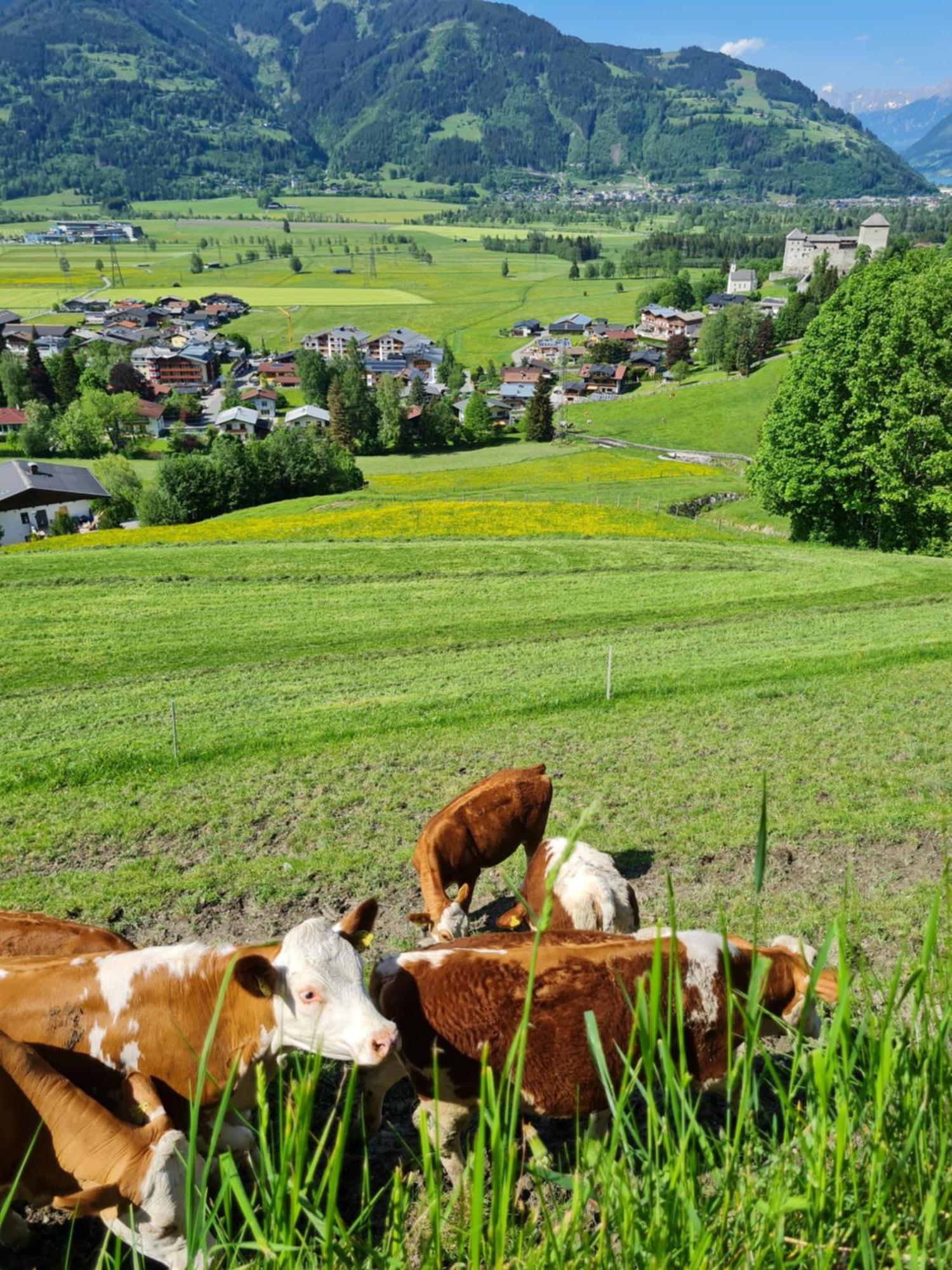 Panorama Hotel Guggenbichl - Inkl Sommerkarte, Freier Eintritt Ins Tauern Spa & Bester Ausblick Uber Kaprun Buitenkant foto